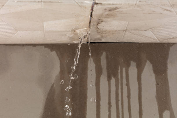 Professional Water Damage Repair technician working in Elmwood Park, IL